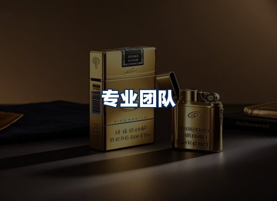 专业团队